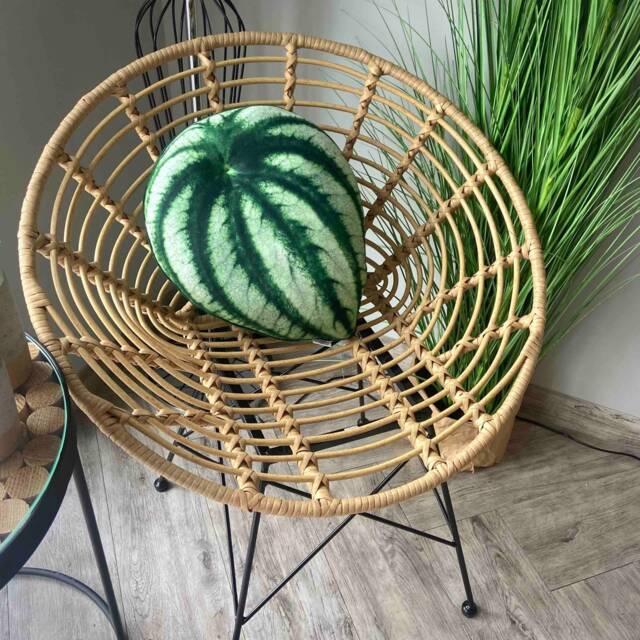 Watermelon Peperomia Plant Pillow, Decorative Leaf Cushion - image 1
