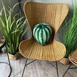 Watermelon Peperomia Plant Pillow, Decorative Leaf Cushion - thumbnail 3