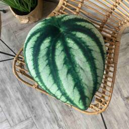 Watermelon Peperomia Plant Pillow, Decorative Leaf Cushion - thumbnail 2