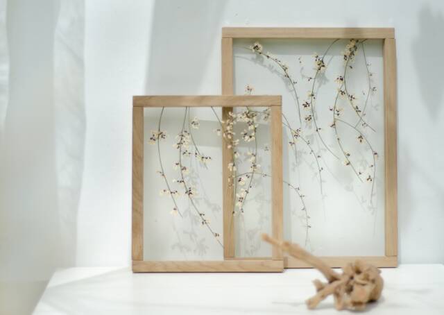 Spring - Pressed Flowers Art Framed Botanicals Real Flowers Herbarium Flower Frame Wall Decor Set Dried - image 1