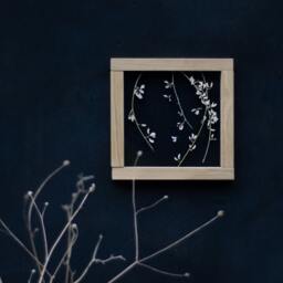 Spring - Pressed Flowers Art Framed Botanicals Real Flowers Herbarium Flower Frame Wall Decor Set Dried - thumbnail 3