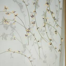 Spring - Pressed Flowers Art Framed Botanicals Real Flowers Herbarium Flower Frame Wall Decor Set Dried - thumbnail 2