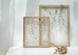 Spring - Pressed Flowers Art Framed Botanicals Real Flowers Herbarium Flower Frame Wall Decor Set Dried - thumbnail 1