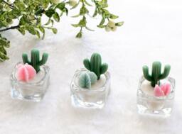 Cactus Tealight Candles - Decor Home Decorations Wedding Favors - thumbnail 1