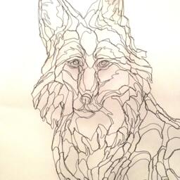 Gray Fox 2D Wire Wall Art Sculpture By Elizabeth Berrien - thumbnail 2