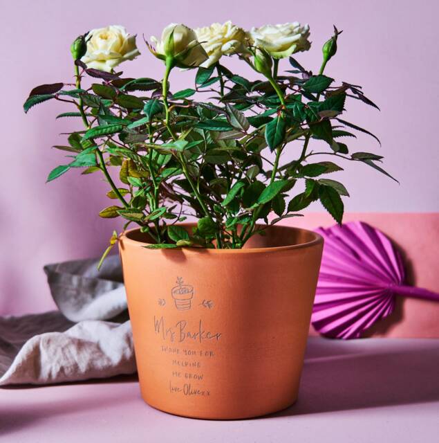 Personalised Teacher Gift Terracotta Plant Pot - image 1