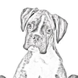 Boxer - Wooden Stand For Candles/Pens With The Image Of A Dog New Collection - thumbnail 2