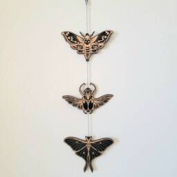 Insect Garland Wood Wall Hanging Decor - Hawkmoth Luna Moth Winged Beetle Death Head Moth -Wood Wall Art Witchy - thumbnail 2