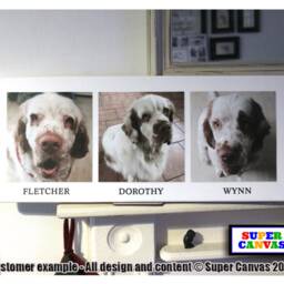 Dog Cat Pet Kitten Puppy Portrait Picture Photo Collage Family Wall Art Framed Canvas Print Birthday Memorial Christmas Gift - thumbnail 2