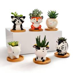 Animal Succulent Planters With Bamboo Coaster/Small Desktop Plant Pot Indoor Office Home Decor Cute Gift Idea