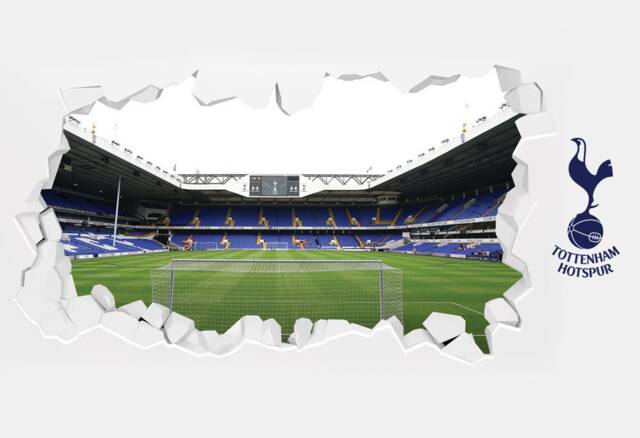 Tottenham Hotspur Football Club - Smashed Stadium Shot Behind The Net Mural