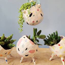 The Wonky Pot Collection 2 Handmade Ceramic Succulent Pot, Cactus Plant Home D??cor, Garden Decor. Outdoor Planter. Pottery Gifts - thumbnail 4