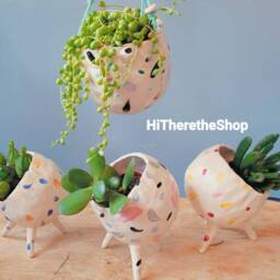 The Wonky Pot Collection 2 Handmade Ceramic Succulent Pot, Cactus Plant Home D??cor, Garden Decor. Outdoor Planter. Pottery Gifts - thumbnail 2