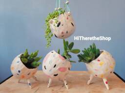The Wonky Pot Collection 2 Handmade Ceramic Succulent Pot, Cactus Plant Home D??cor, Garden Decor. Outdoor Planter. Pottery Gifts