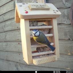 Pretty Hanging Fat Ball Feeder For Garden Birds - Can Be Personalised - thumbnail 2