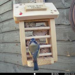 Pretty Hanging Fat Ball Feeder For Garden Birds - Can Be Personalised - thumbnail 4