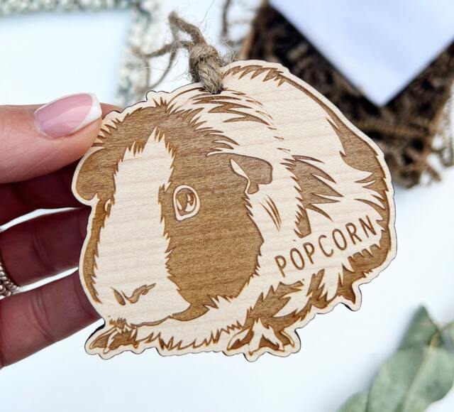 Guinea Pig Lover Gift, Ornament, Decoration, Bauble, Plaque, Pig Sign, D??cor - image 1