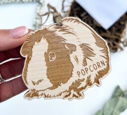 Guinea Pig Lover Gift, Ornament, Decoration, Bauble, Plaque, Pig Sign, D??cor - thumbnail 1