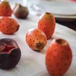 Ceramic Prickly Pear Handmade Realistic - 1 Pc Natural Size, Decoration - thumbnail 4