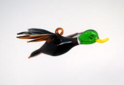 E36-302 Male Mallard