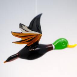 E36-302 Male Mallard - thumbnail 2