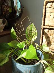 Eye Fire Plant Trellis For Indoor Plant/ Accessories/ Stake/ Support/Decor/ Planter Gifts Pot Decor - thumbnail 1