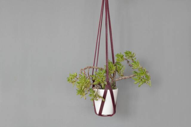 Cherry Red Leather Hanging Planter Indoor Ceiling Plant Hanger - image 1