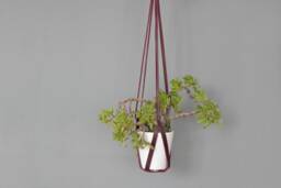 Cherry Red Leather Hanging Planter Indoor Ceiling Plant Hanger