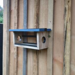 Bird Feeder - thumbnail 3