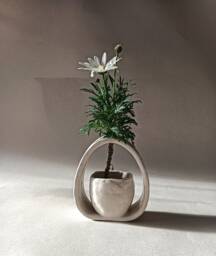 Small White Ceramic Vase, Ikebana Floral Arrangement, Semi-Matte Soft Lines Elegant Valentine's Gift - thumbnail 1