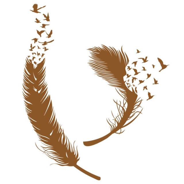Abstract Feathers Birds Wall Decal, Of Feather Decal Vinyl Art For Living-Room, Bedroom, Nursery & Stickers - 183 - image 1