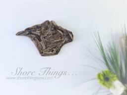 Driftwood Isle Of Wight 23cm Wall Art Wood Iow Gift Beach - thumbnail 1