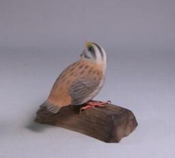 Baby White-Throated Sparrow Hand Carved Wooden Bird - thumbnail 3