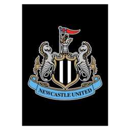 Newcastle United Fc Print - Crest Poster Football Wall Art - thumbnail 3