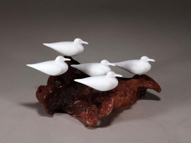John Perry Seagull Sculpture, Burlwood Base, Coastal Decor - image 1