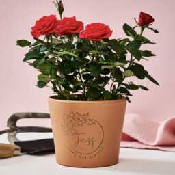 Birth Flower Personalised Pot Birthday Gift - thumbnail 3