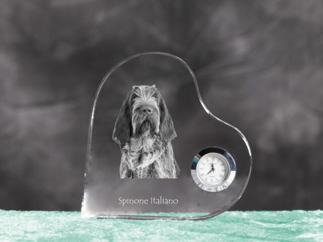 Spinone Italiano - Crystal Clock in The Shape Of A Heart With Image Pure-Bred Dog - image 1