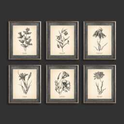 Vintage Botanical Prints Set Of 6 Poster Wildflower Print Flower Fine Art Neutral Home Wall Decor Beige - thumbnail 3