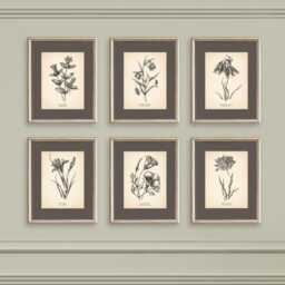 Vintage Botanical Prints Set Of 6 Poster Wildflower Print Flower Fine Art Neutral Home Wall Decor Beige - thumbnail 2