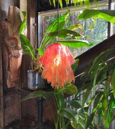 The Echo Lamp. Red & Amber Handmade Resin Pendant One-Of-A-Kind Jellyfish Mushroom Shaped Lighting. Home Decor Light Fixture - thumbnail 1