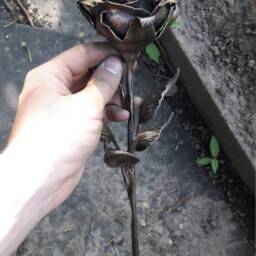 Forged Gift, Forged Iron, Forged, Steel, Anniversary Metal, 4Th Wedding, Iron Rose, Metal Rose - thumbnail 4