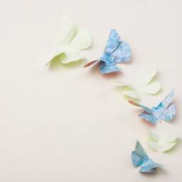 3D Wall Butterflies Butterfly Art For Nursery, Girl's Room, Or Home Decor in Honeydew & Distressed Turquoise - thumbnail 2