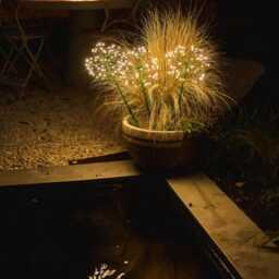 Trio Of Mini Dandelion Dual Powered Lights - Outdoor Decorative Garden Solar Or Battery Lighting - thumbnail 2