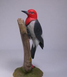 Red-Headed Woodpecker Hand Carved Wooden Bird