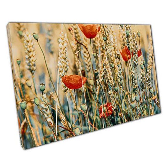 Vibrant Poppy Field Canvas Sunlit Landscape Wall Art For Home & Office, Ready To Hang - image 1
