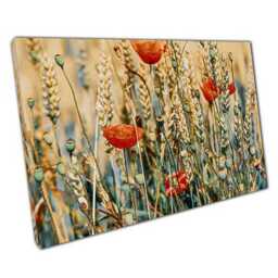 Vibrant Poppy Field Canvas Sunlit Landscape Wall Art For Home & Office, Ready To Hang - thumbnail 1