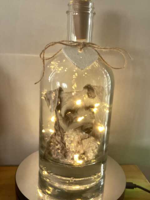 Personalised Schnauzer Dog Light Up Bottle, Bottle Lamp With Gift Messaging Service & Bag