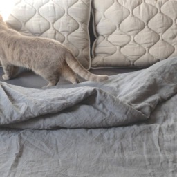 Organic Wool Pillow Set Linen Cover, Eco-Friendly Bedding - thumbnail 2