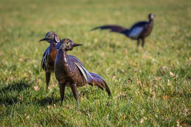 Recycled Metal Pheasant Sculpture. Handcrafted Garden Outdoor Sculpture Statue. Pheasants. Game Birds Decoration - image 1