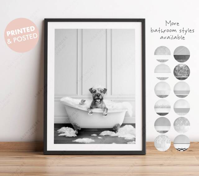 Black & White Border Terrier Dog in A Bath Print, Bathing, Funny Bathroom Animal Bathtub, Dog Tub Whimsy - image 1